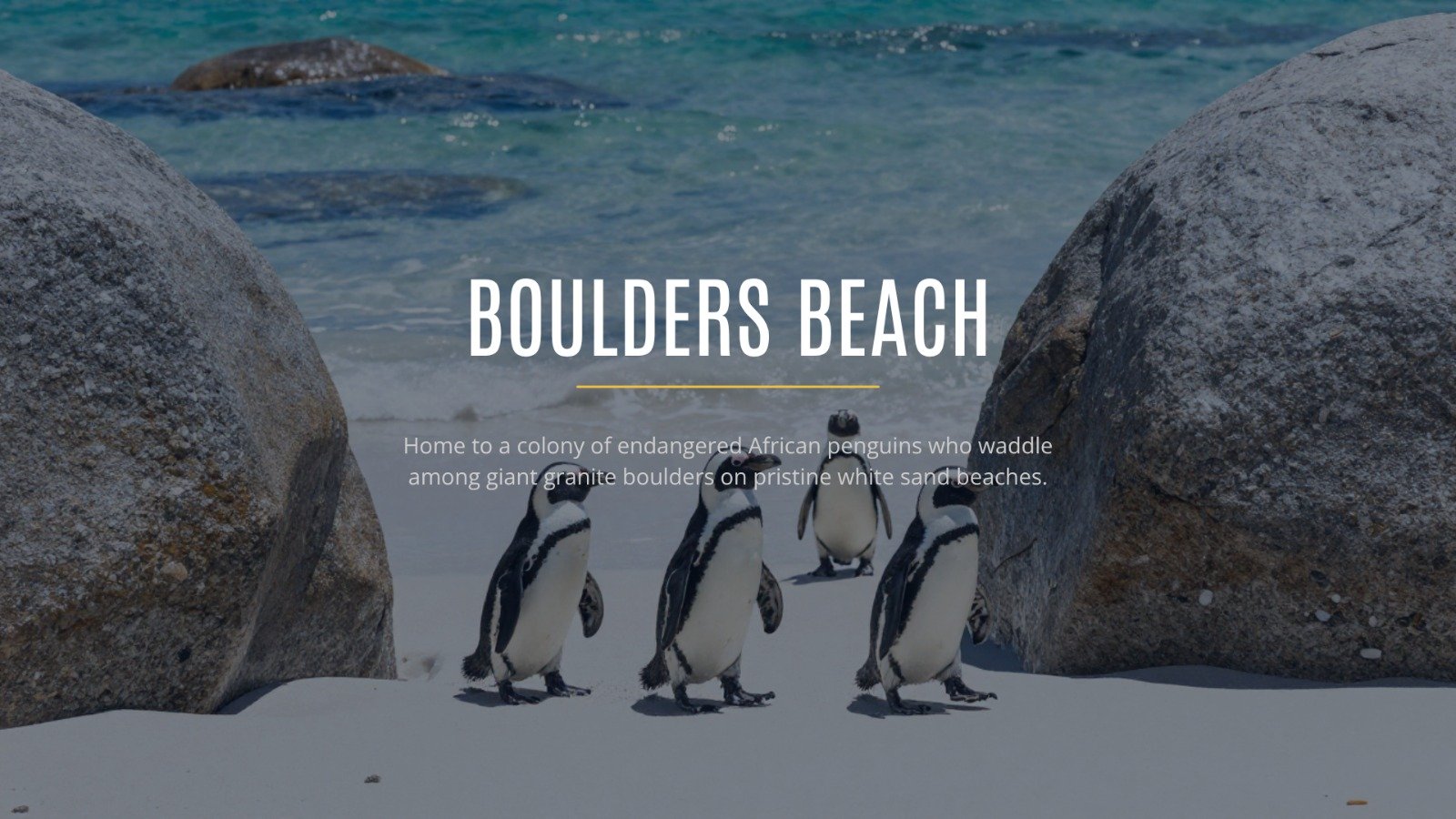 Vote for the best travel prize experience